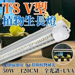 【君沛】V型雙排 50W UVA顯色 4呎 T8一體式植物燈 全光譜 抑制徒長 龍舌蘭 多肉上色 大型植物架補光 免燈座, , large