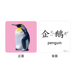 [風車圖書] FOOD超人聰明認知大圖卡-可愛動物*新版, , large