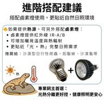 【君沛爬蟲燈】UVB 爬蟲燈 LED 補光燈 7W PAR30｜高 UVI 全光譜 適用爬蟲烏龜鬆獅, , large