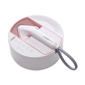 multifunctional steam iron