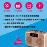 WONDER 藍牙/USB/TF/收錄音機 紅/黑/金 WS-T036U, , large