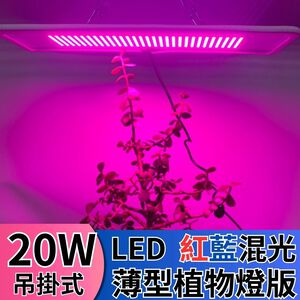 【君沛】吊掛式薄型植物燈板 20W 紅藍光譜 LED植物燈 育苗 多肉顯色 防徒長 植物生長燈 補光