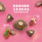 【耐吉斯】P23 凍乾填心雞肉餐-全齡貓 4.5磅(貓飼料/貓糧), , large