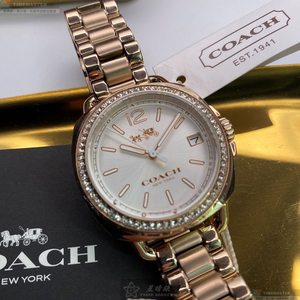 [星晴錶業]COACH手錶,34mm,CH00093白色錶面香檳金錶殼香檳金精鋼錶帶款