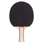 ARTENGO PPR 130 Indoor STRAIGHT, , large