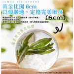 【禾統】零接觸按壓式大冰球模 / 1個 (6CM冰球 冰球模具 製冰盒), , large