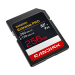 SanDisk SD card, , large