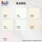 Paint, , large