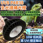 【君沛爬蟲燈】UVB 爬蟲燈 PAR38 10W｜高 UVI LED 補光燈 適用鬃獅蜥 沙漠鬣 赫曼陸龜 烏龜 蜥蜴, , large