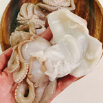【一夫水產】澎湖野生石巨/小章魚, , large