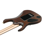 Ibanez K7YANG Head, , large