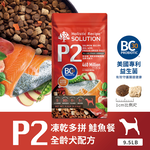 【耐吉斯】P2 凍乾多拼鮭魚餐-全齡犬 9.5磅(狗飼料/犬飼料/犬糧), , large