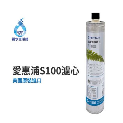 【麗水生活】EVERPURE 愛惠浦S-100愛惠浦S-100 濾心-美國原裝進口濾心 餐飲業界用濾心
