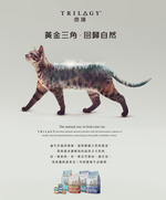【TRILOGY奇境】幼貓 成貓 無穀燉雞湯 貓罐頭55gX24罐, , large