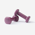 迪卡儂1.5kg啞鈴組2入, , large