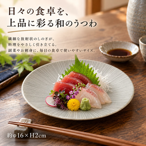 【HIYASU日安工坊】5.5 皿 (26)^