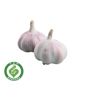 TAP Garlic