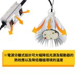 【君沛植物燈】LED植物燈 50W燈杯型 加強型光譜 外接變壓器款 植物生長燈, , large