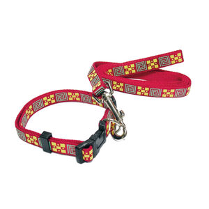 【寵物用品】DogClub15mm拉帶+頸圈顏色隨機出貨