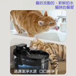 Petmii 小鯨魚MAX智能飲水機黑, , large