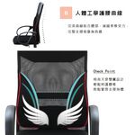 辦公椅 電腦椅 網椅 人體工學椅 主管椅 護腰 電競椅 CH1246, 黑色, large