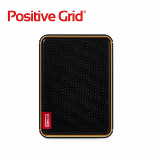 Positive Grid Spark EDGE