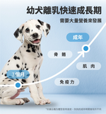 【GOMO PET FOOD】幼犬骨能原動力/幼犬健康成長發育配方4.2kg 狗飼料 狗糧, , large
