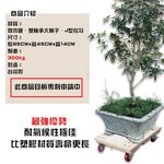 【HomeMax】載重型實木平板車/烏龜車/貼地車/推車/工業活動輪/承重300~400KG/65x45cm/台灣製, , large