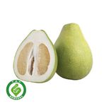 麻豆民哥履歷文旦/粒, , large