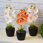 ARTIFICIAL PLANT W/BLACK POT-WHITE, , large
