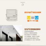 [凌騰科技] OSRAM 歐司朗 LED 30W 277V IP65防水撥切三段色溫 投光燈, , large