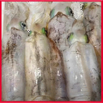 Cuttlefish, , large