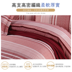 FITNESS 精梳棉雙人鋪棉兩用被套-安德里-紅, , large