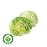 履歷結球萵苣350g/粒, , large