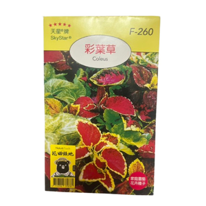 【向花緣】天星牌 彩葉草 - 花卉種子