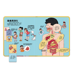 [風車圖書] 百問百答圖解翻翻書-揭祕身體, , large