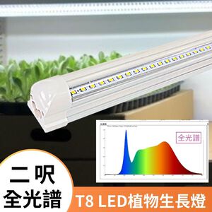【君沛】2呎 T8植物燈管 12.5W 全光譜 植物櫃推薦 觀葉 鹿角蕨 葉菜類補光 抑制徒長 還原原色 自然光生長燈