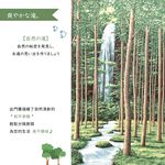 日本製【コスモ】長門簾《林間瀑布》, , large
