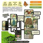 【Asmodee】森森不息 Forest Shuffle ｜策略桌遊｜卡牌桌遊｜森林主題桌遊｜10歲以上桌遊, , large