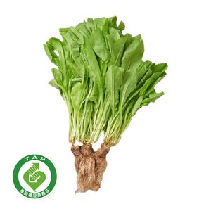 履歷水耕A菜(每袋約250g&plusmn;10%)