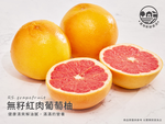 [馥果FruitGo]南非 無籽紅肉葡萄柚#50-55【預購15天】, , large