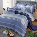 【多利寶寢具】FITNESS 精梳棉雙人七件式床罩組-安德里-藍, , large