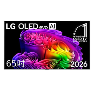 【LG 樂金】65吋OLED 4K連網智慧顯示器OLED65G6PTA
