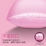 家簡塵除防漏環保清潔袋-特小, , large