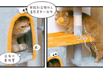 【Y HOUSE】四景一房雲端喵屋貓宅/貓跳台/貓爬架/貓窩/貓玩具/法蘭絨/大型貓窩, , large