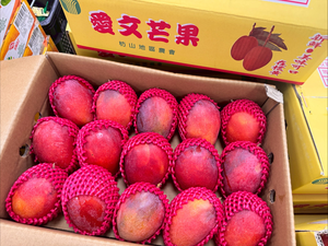 Irwin Mango