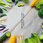 PERFECT 理想牌 極緻食物剪刀萬用剪刀廚房剪料理剪剪刀-Leidea樂德兒, , large