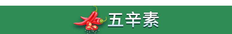 金品乳酪蘑菇筆管麵