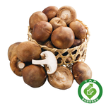 Mushrooms