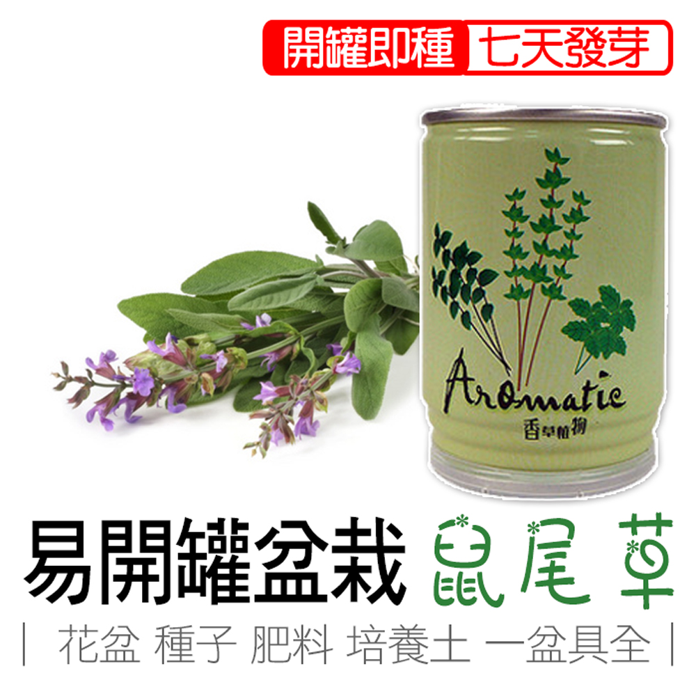 sage, , large